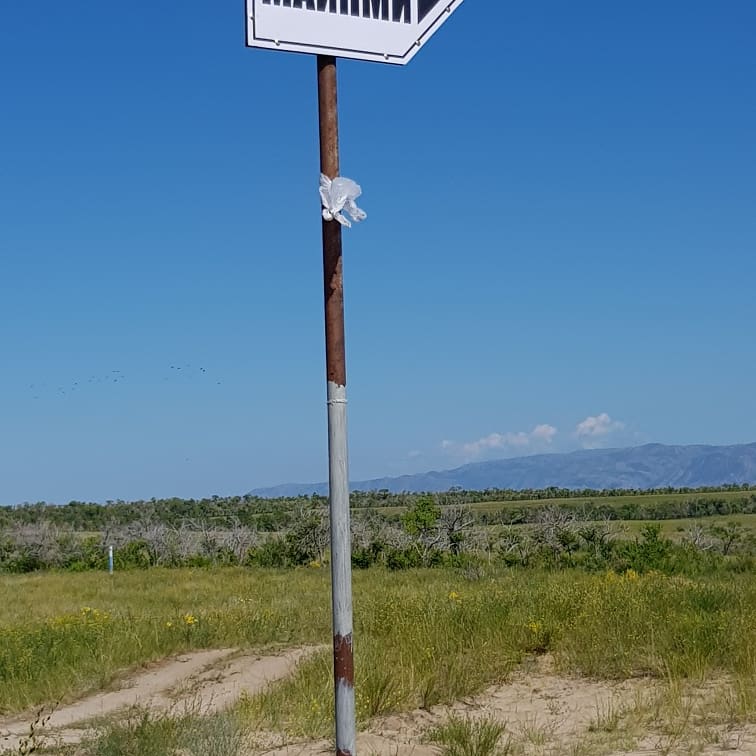 Майями - Limpopo Travel в Казахстане